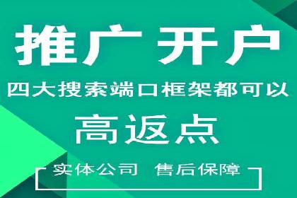 竞价端口开户成功助力企业增长